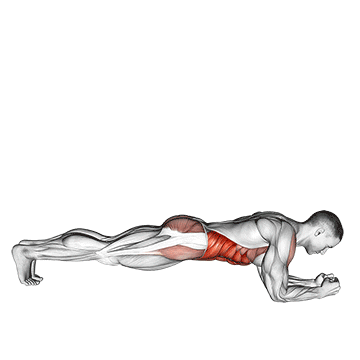 Plancha Abdominal (Plank): El Ejercicio Perfecto para el Core