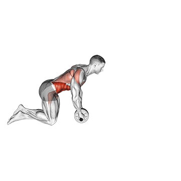 Rueda Abdominal: El Core más Fuerte con Un Solo Ejercicio